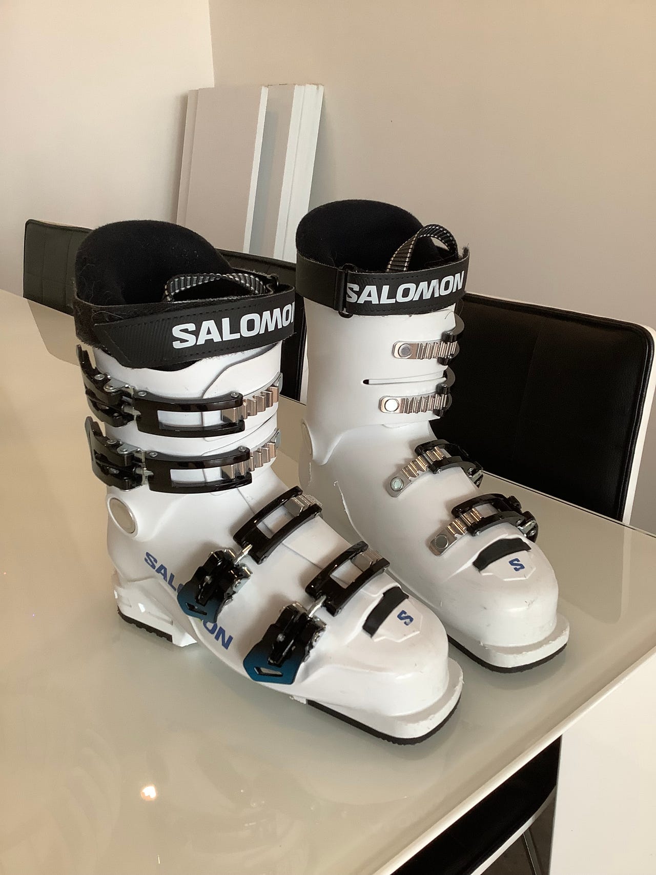 Salomon S/RACE 60T M 246mm 20～20.5cm Salomon S/race 60t L