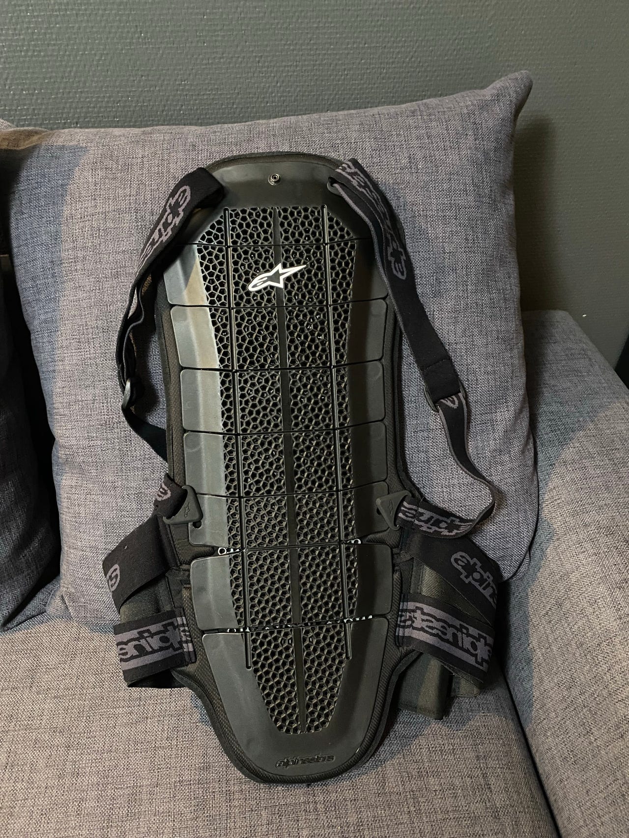 Alpinestars Bionic Back Protector Air (XL) | Tori