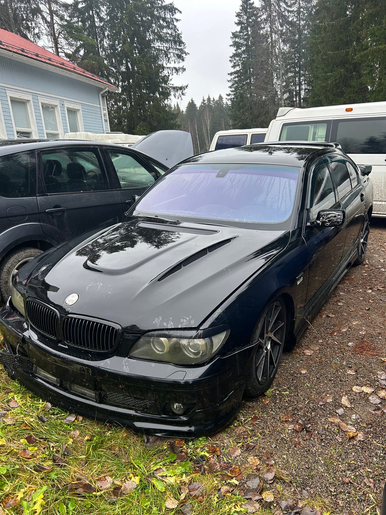 BMW 730D osina