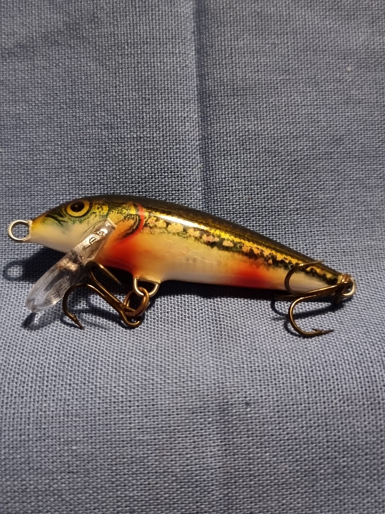 1. Rapala Original Floater