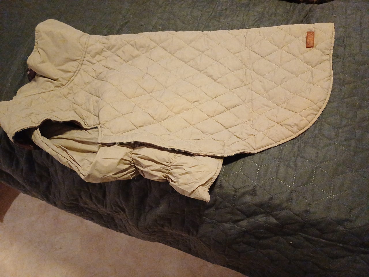 Koiran takki beige / ruskea ruutu