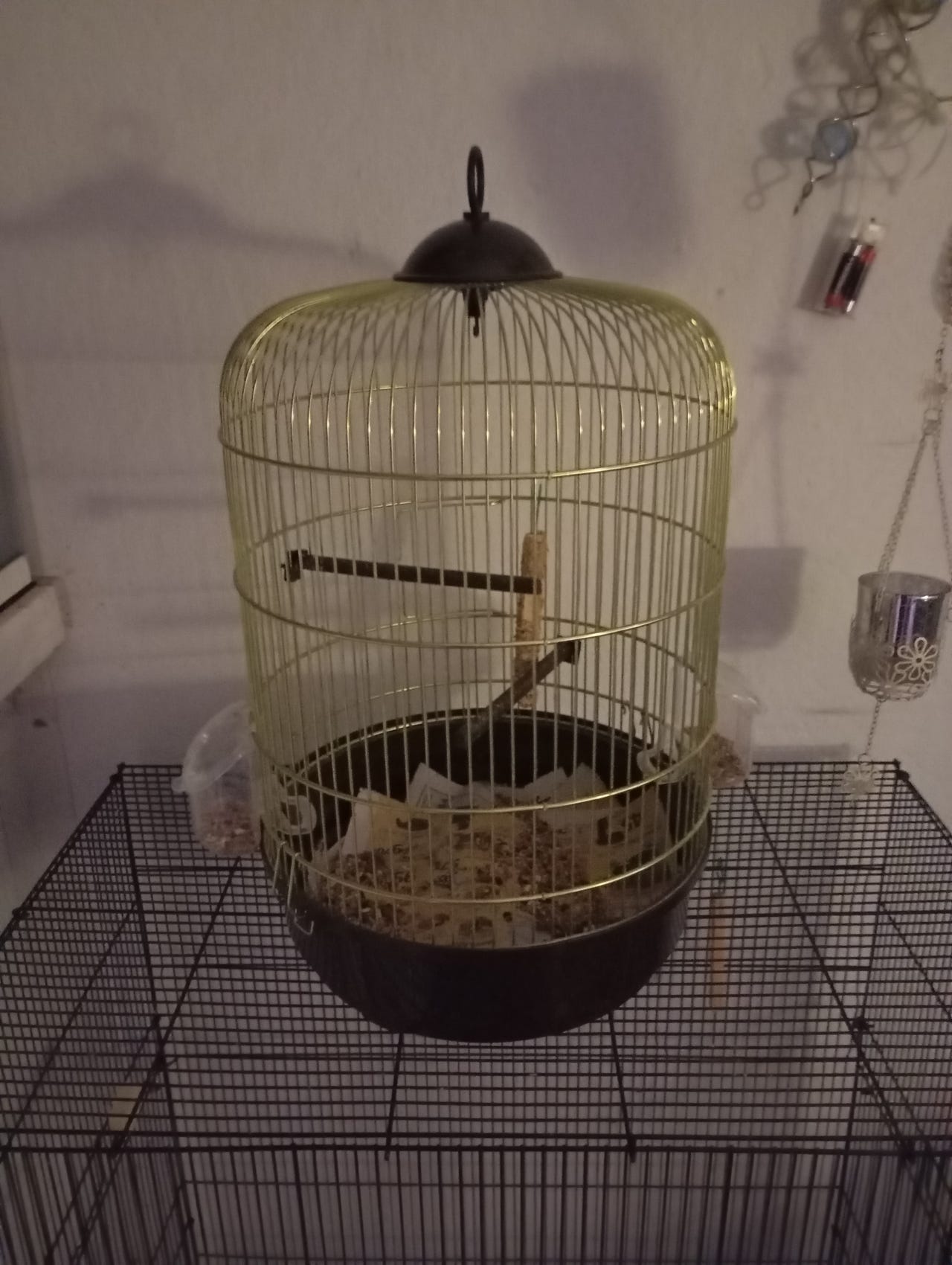 Pieni linnun häkki