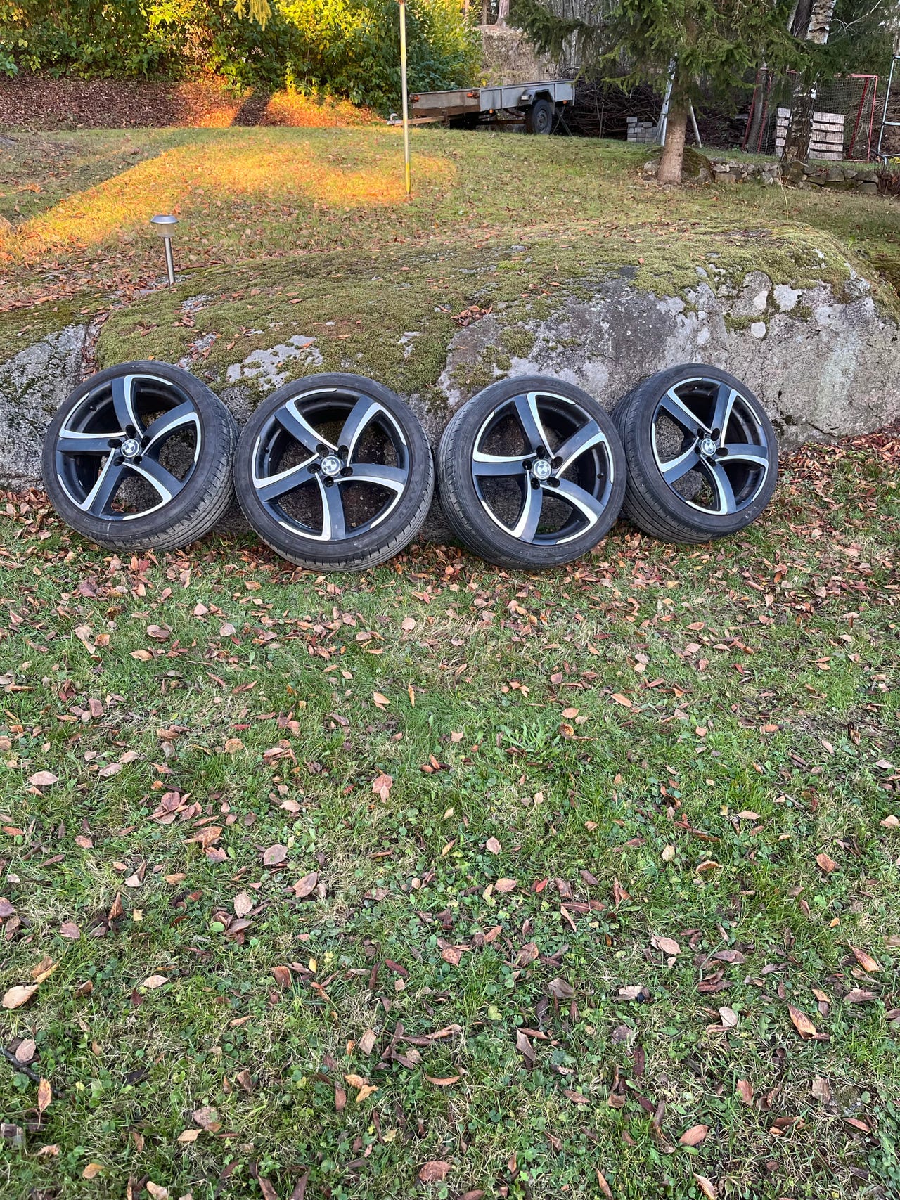 Vanteet 18”