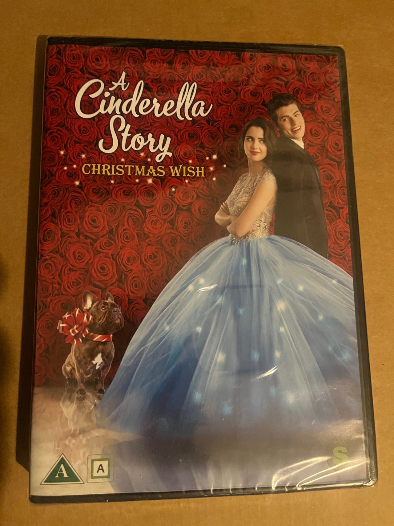 A Cinderella Story / Christmas Wish DVD | Tori