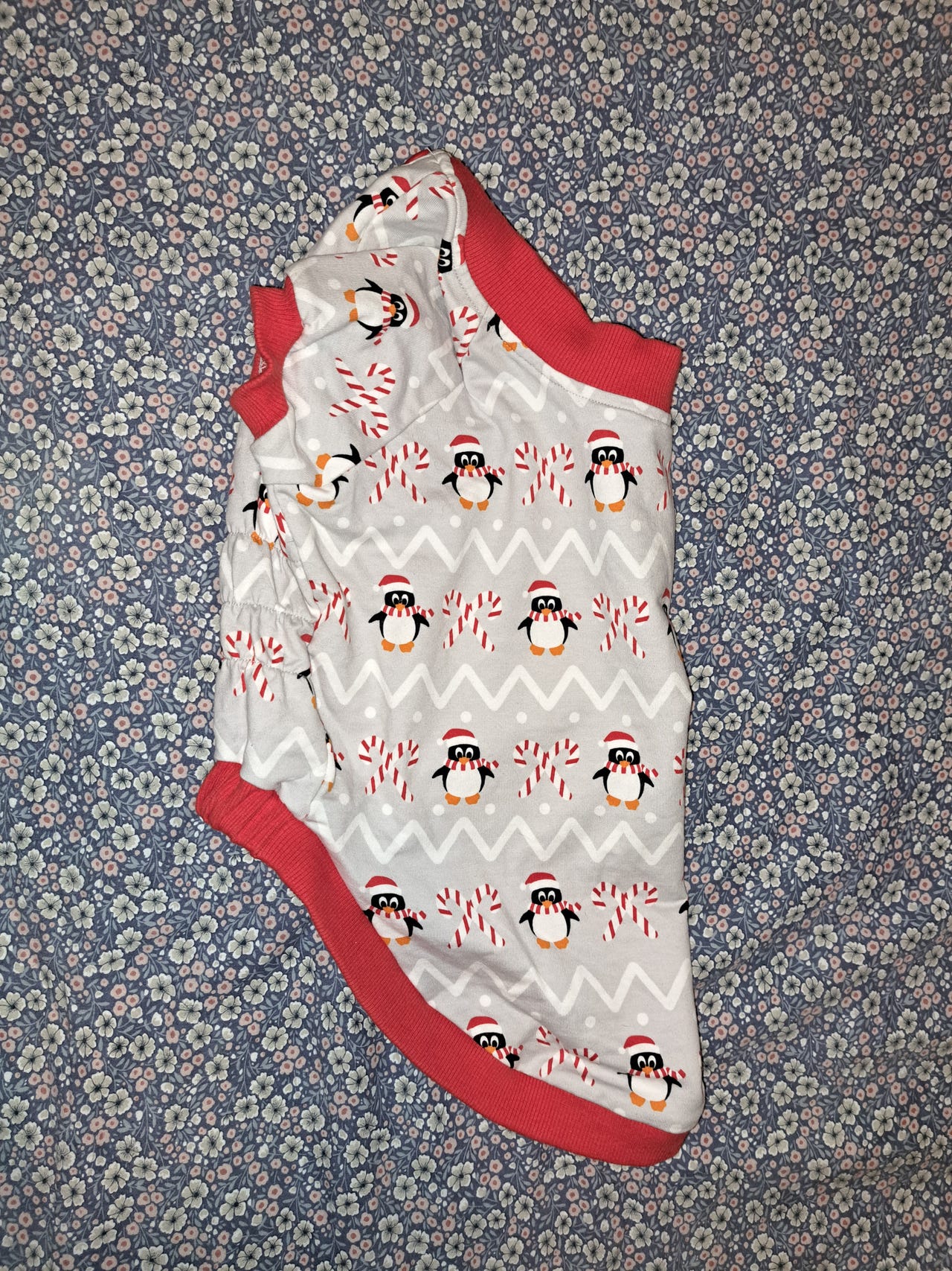 Koiran joulupaita, koko 40cm