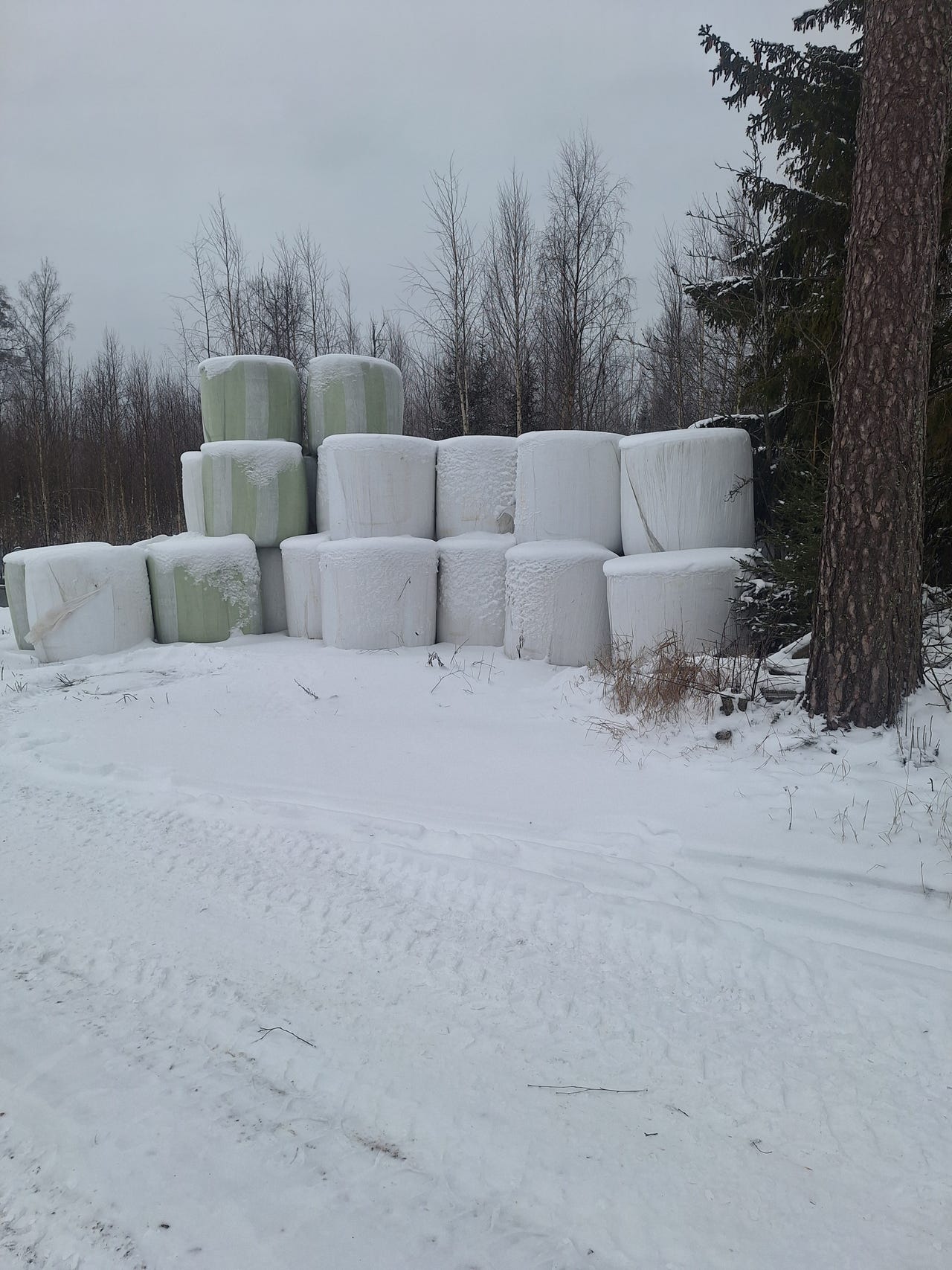 Kuivaa heinää muovilla  ja ilman