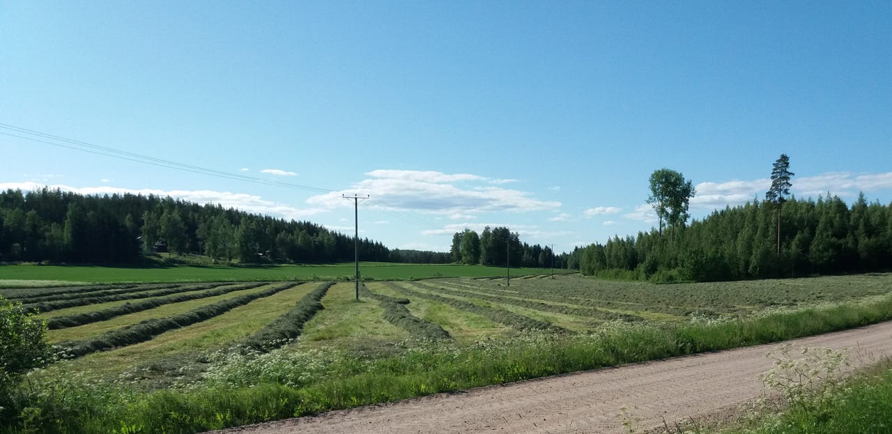 Myytävänä heinää ja olkea