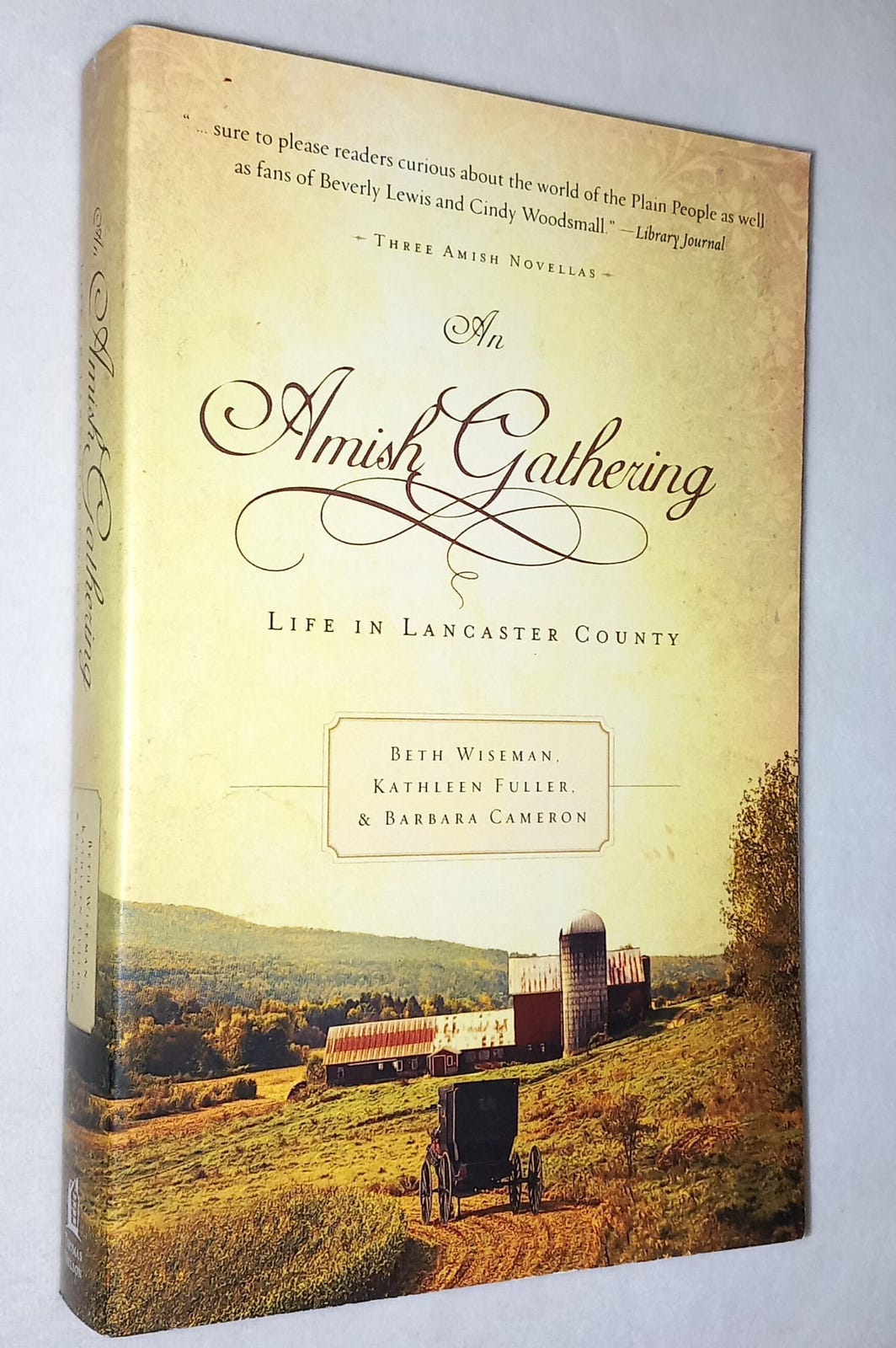 An Amish Gathering