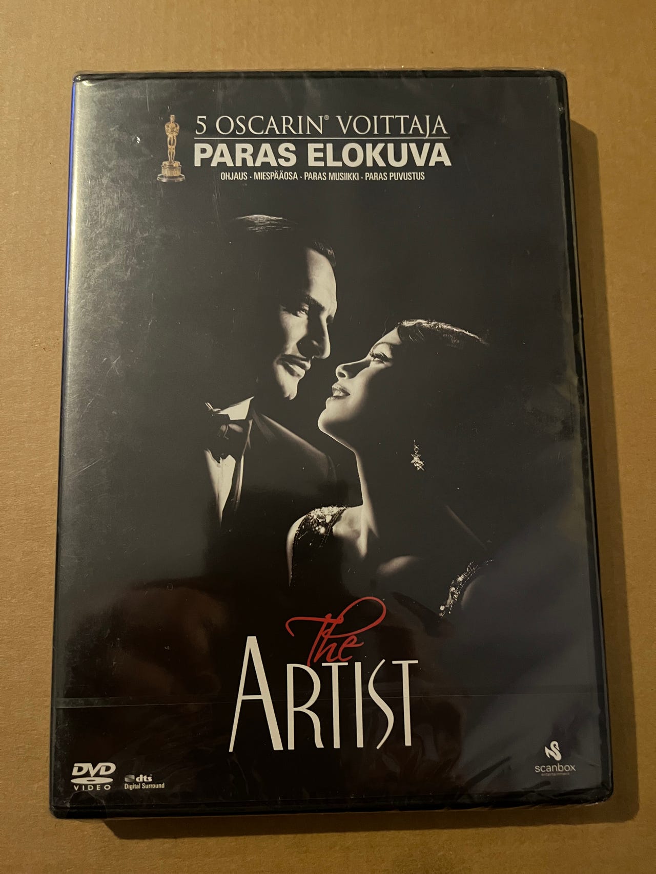The artist dvd