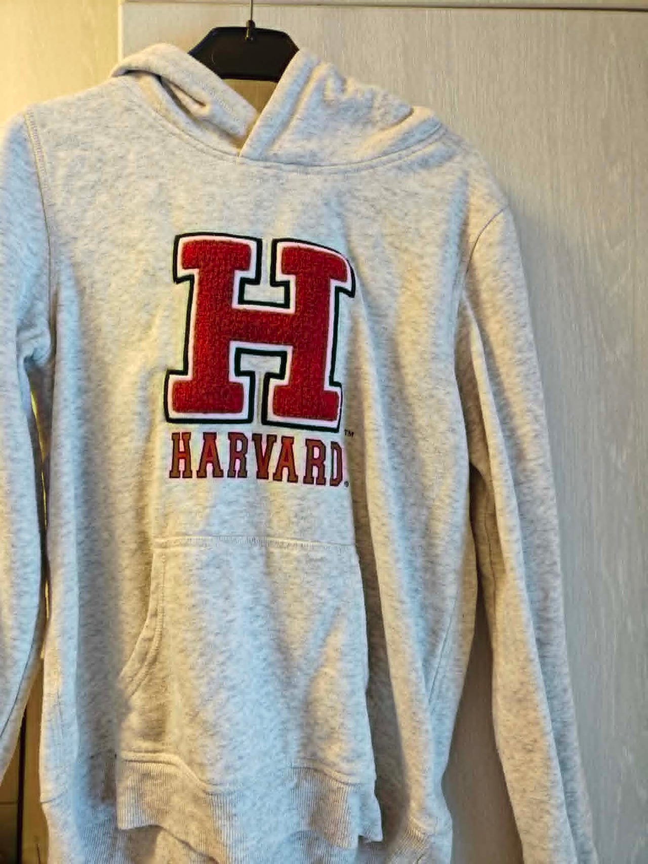 Harvard lasten huppari koko 146/152 harmaa