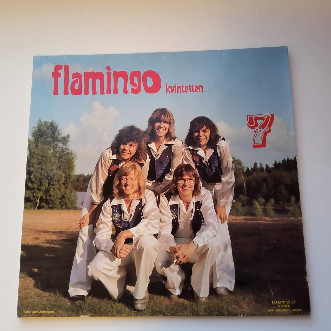 LP-levy Flamingo