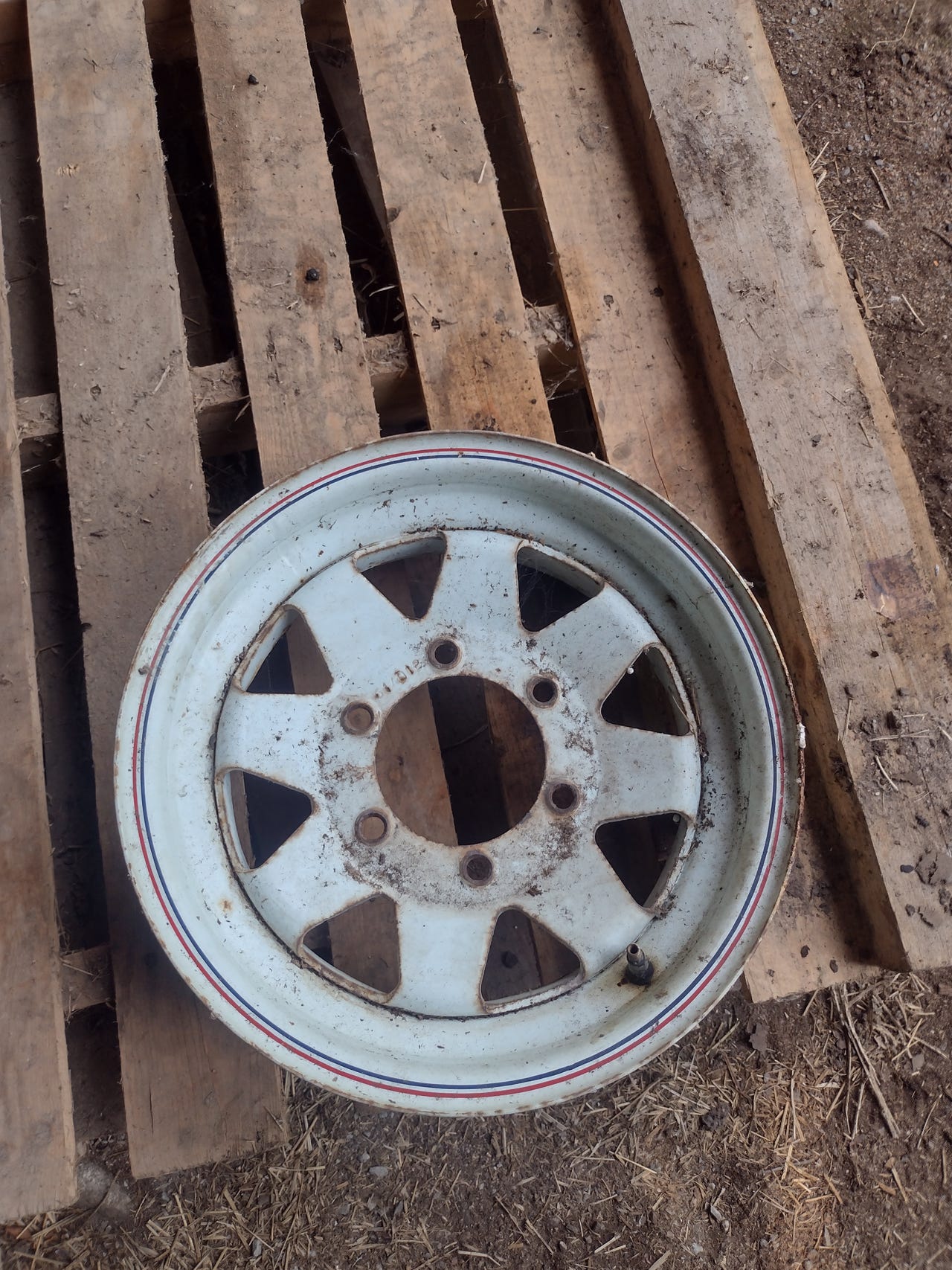 Mangels vanteet 14"