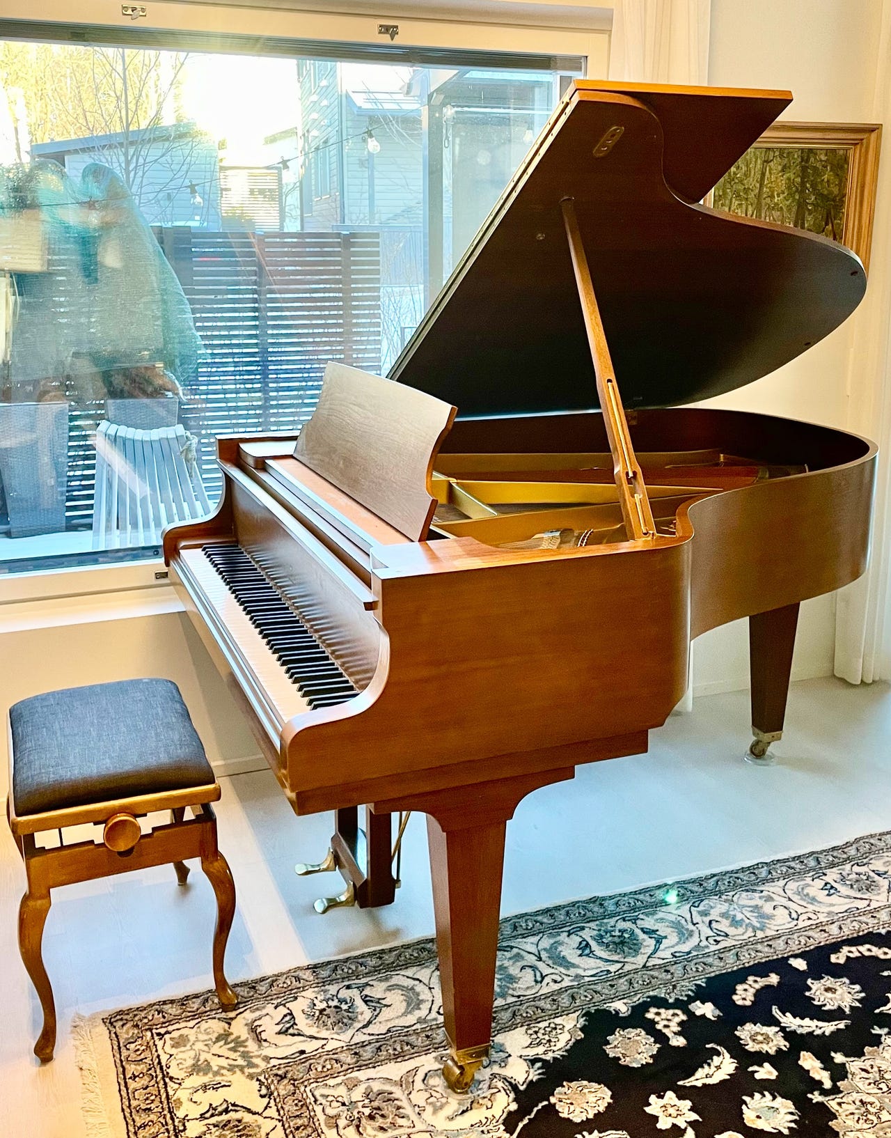 Schimmel 174 T -flyygeli