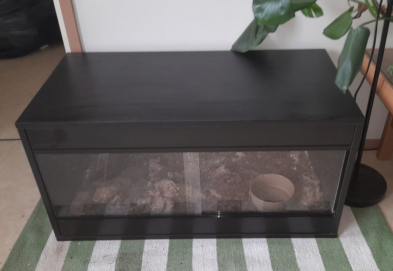 Suuri terraario