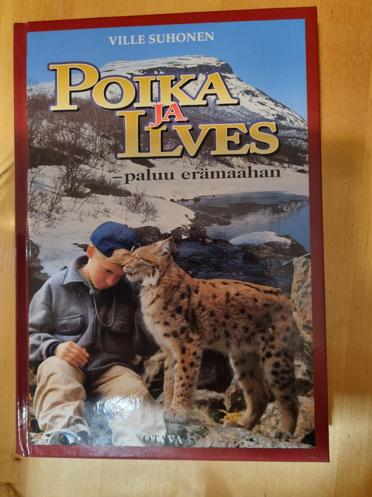 Poika Ja Ilves Ville Suhonen Tori