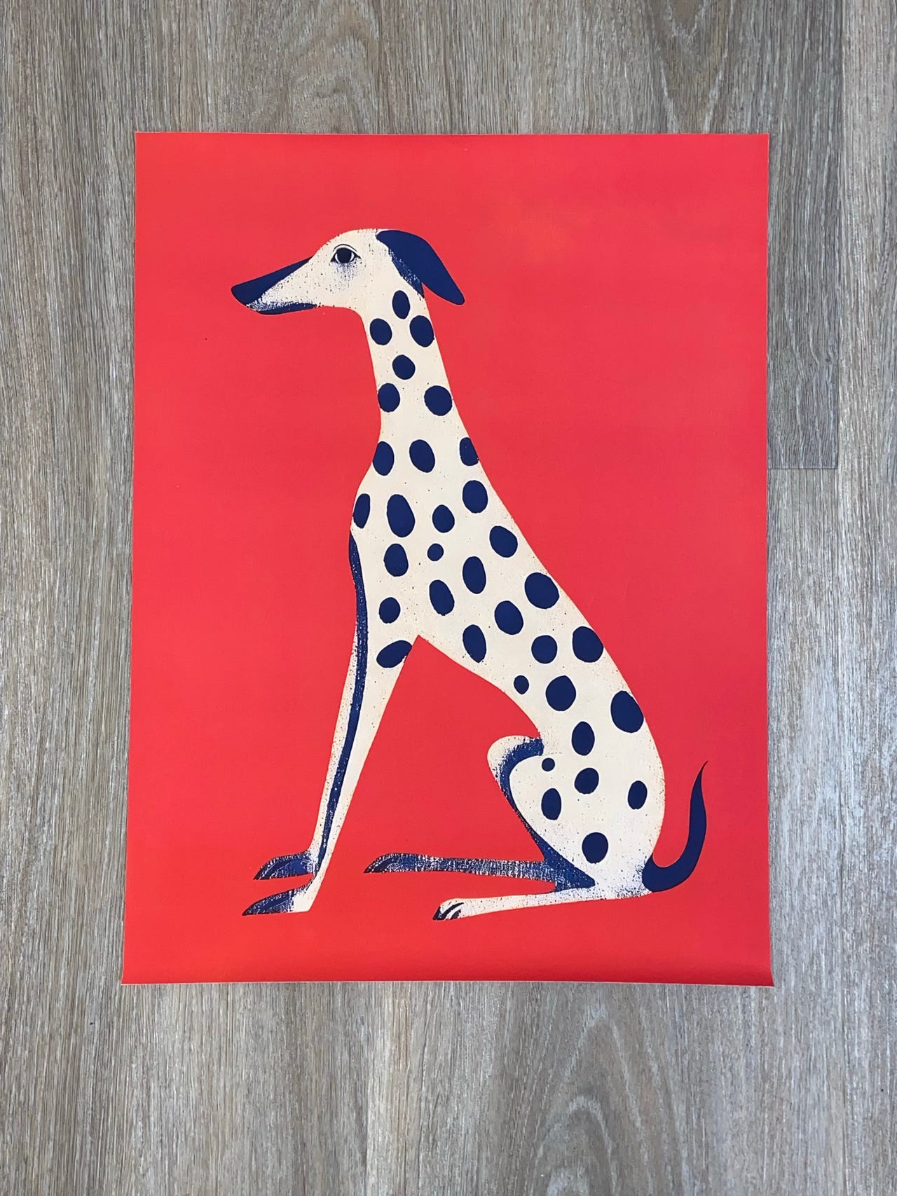 Koira juliste | Tori