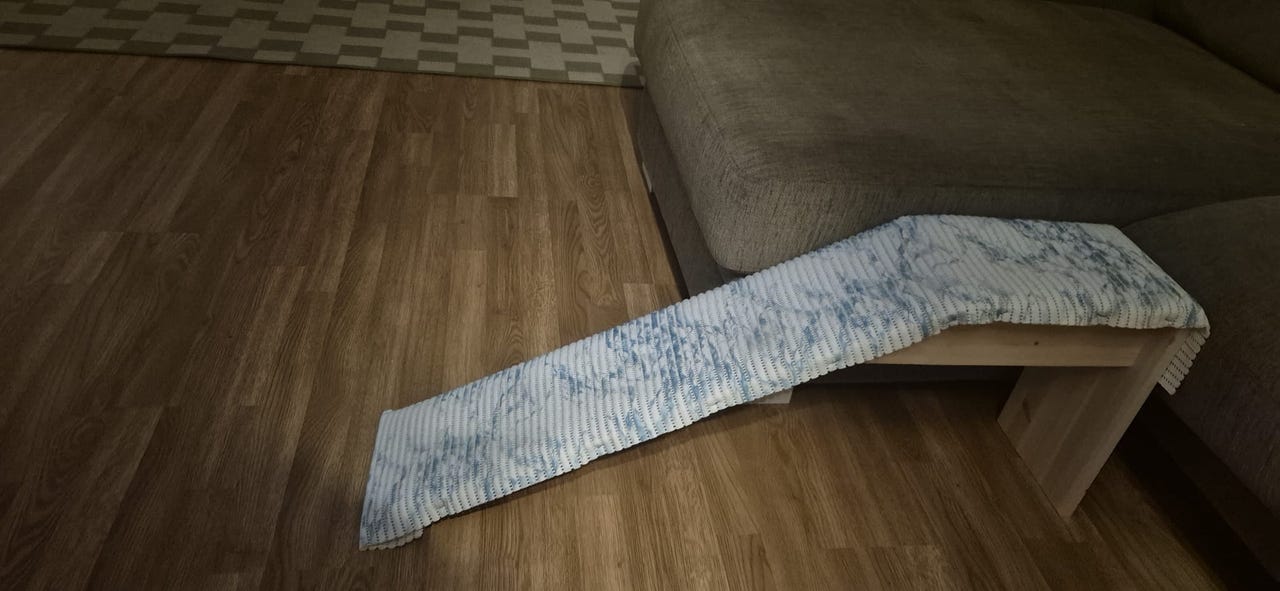 Pienen koiran kulkuramppi