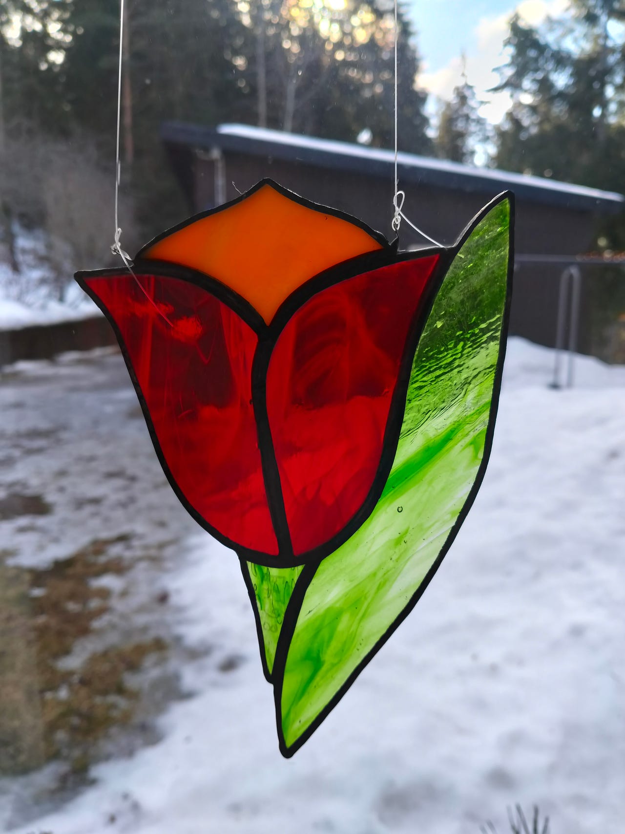 Lasi tulppaani ikkunaan