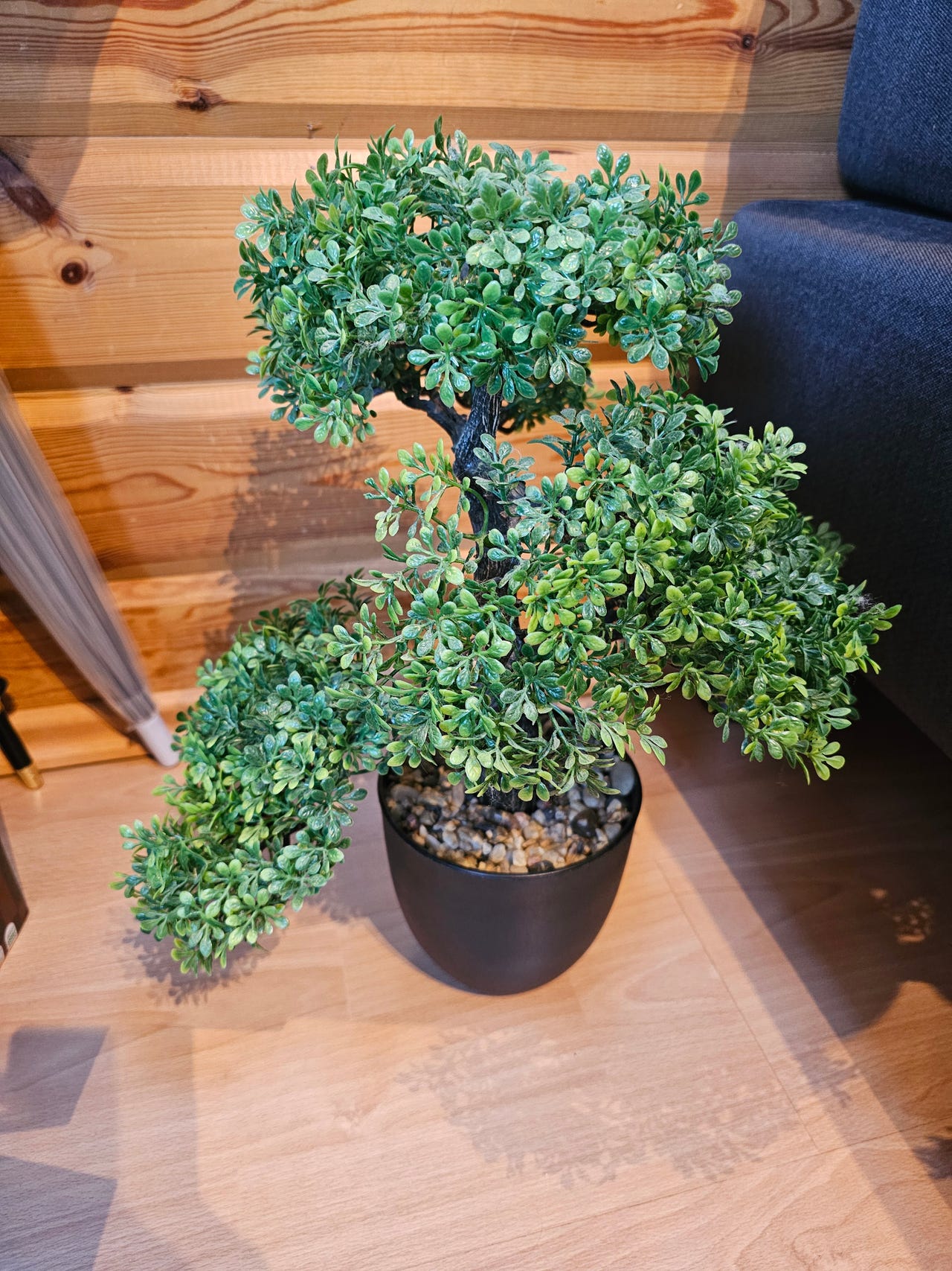Muovinen Bonsai kasvi