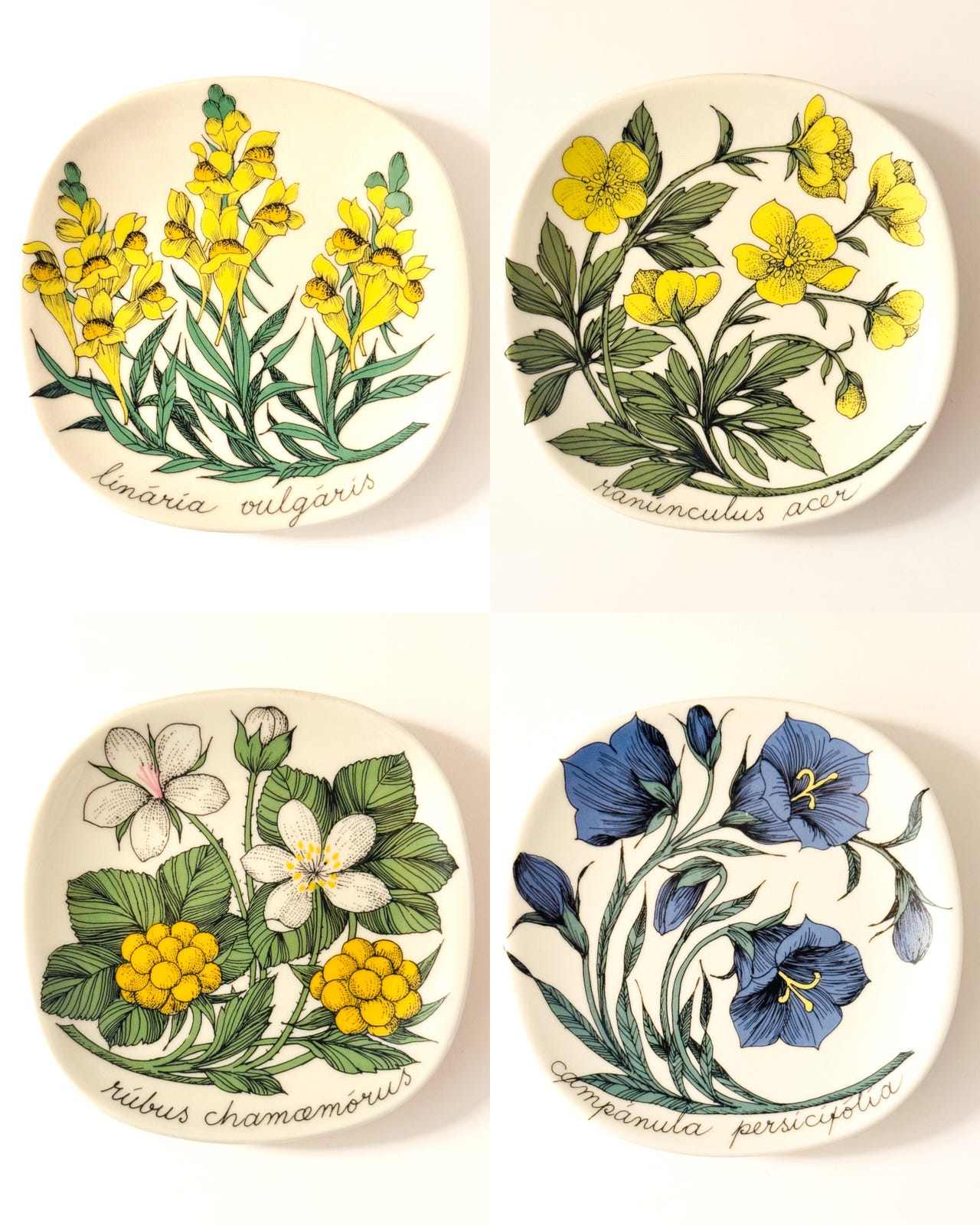 Arabia Botanica ❀ * スズラン Esteri Tomula Arabia, Botanica, Esteri Tomula seinälautaset | Tori