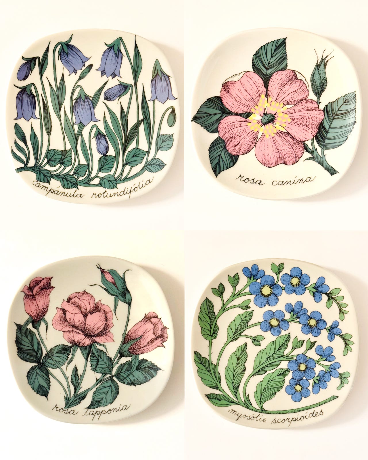 Arabia, Botanica, Esteri Tomula seinälautaset | Tori