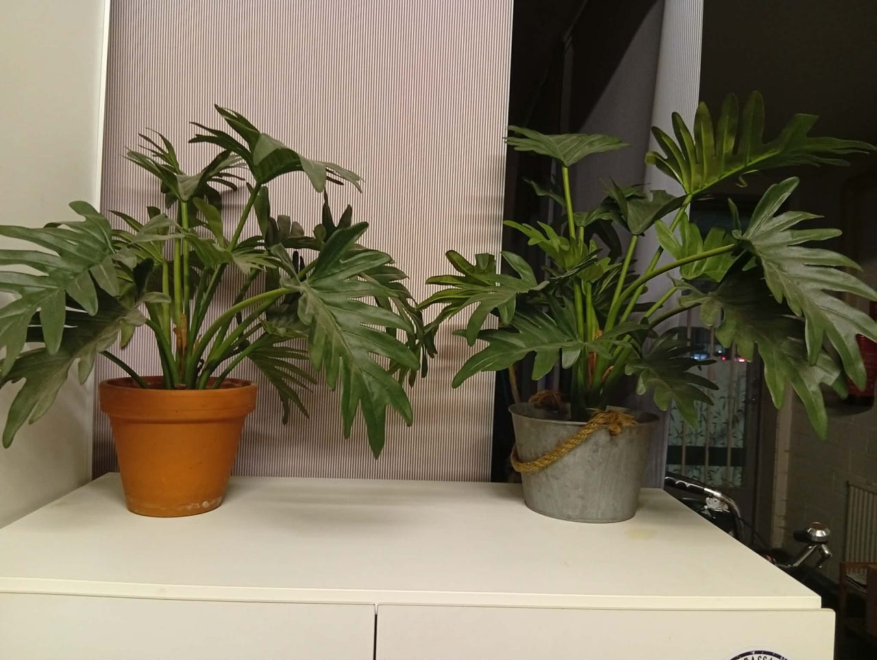 Artificial plants - keinotekoiset kasvit 2kpl