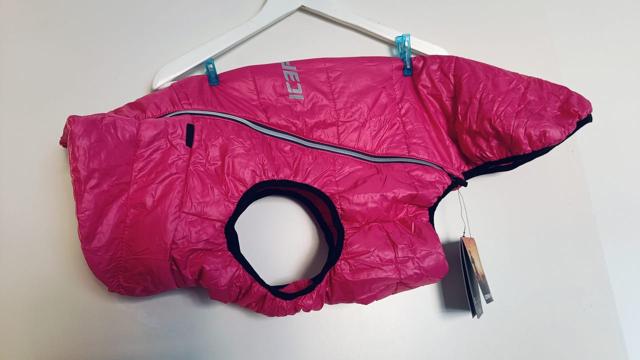 Icepeak Lite koiran toppatakki 55