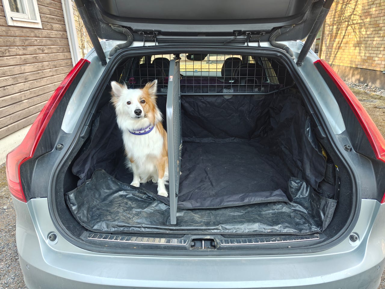 Volvo V90 Travall koiraverkko ja jakaja