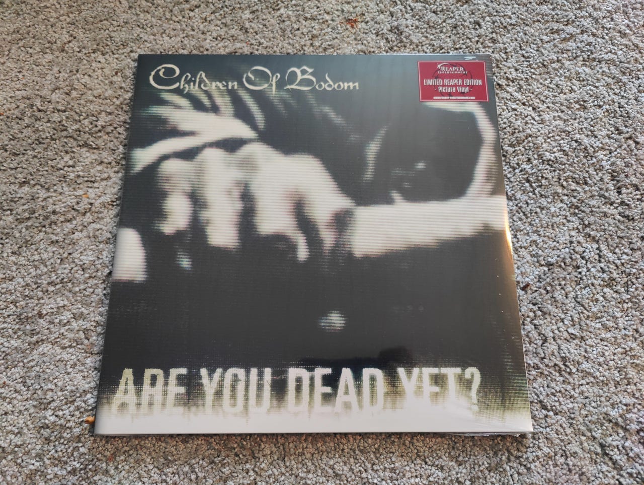 Children of Bodom LP are you dead yet | Tori
