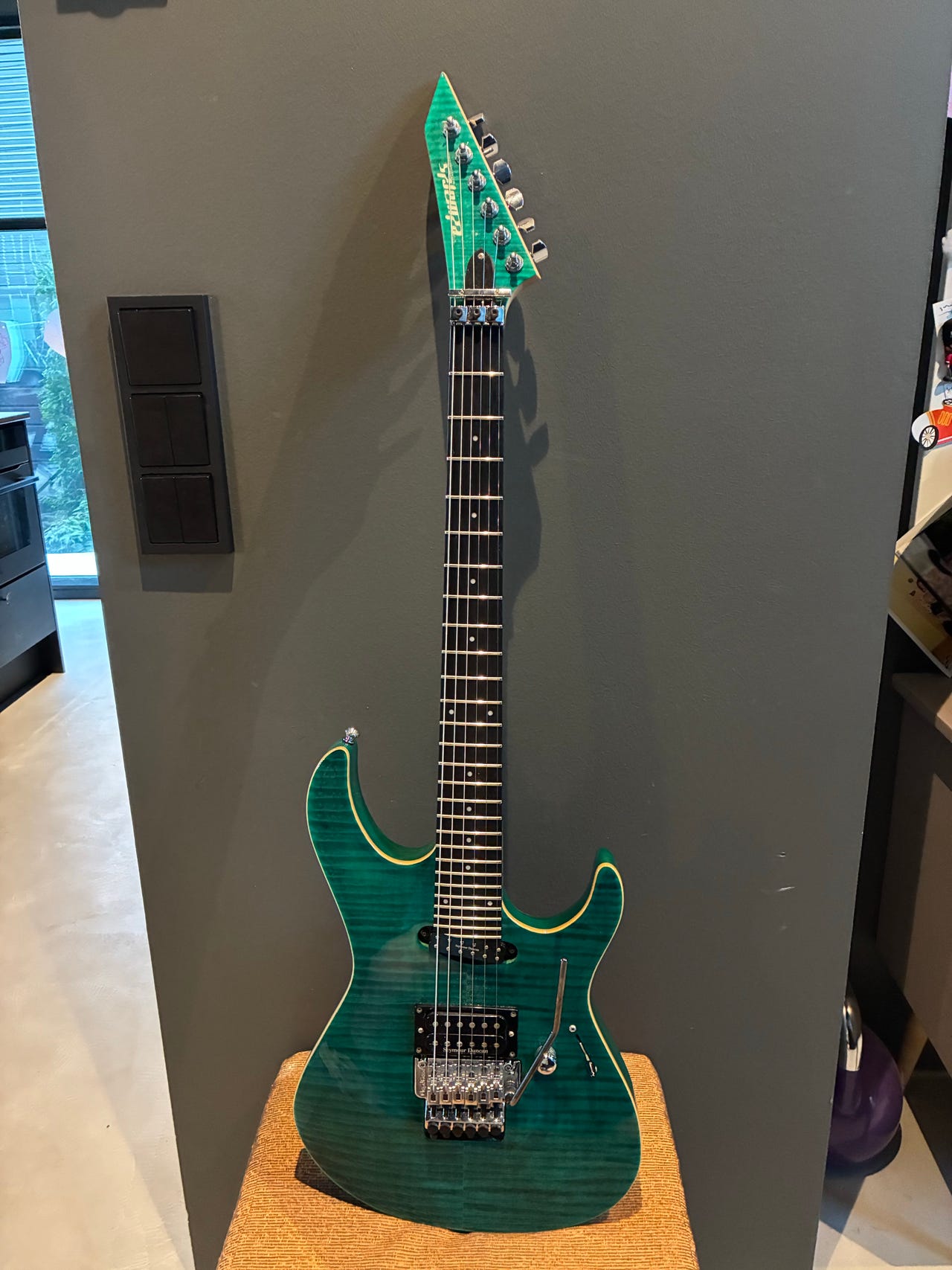 Edwards E-mv 125FR | Tori