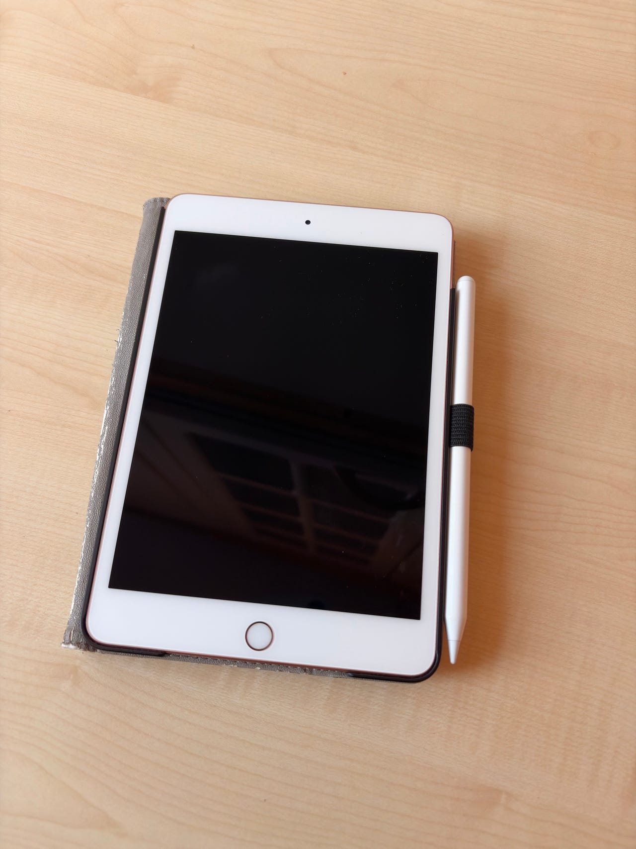 iPad mini 5 WiFi 64gb | Tori