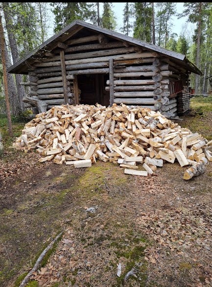 Polttopuuta