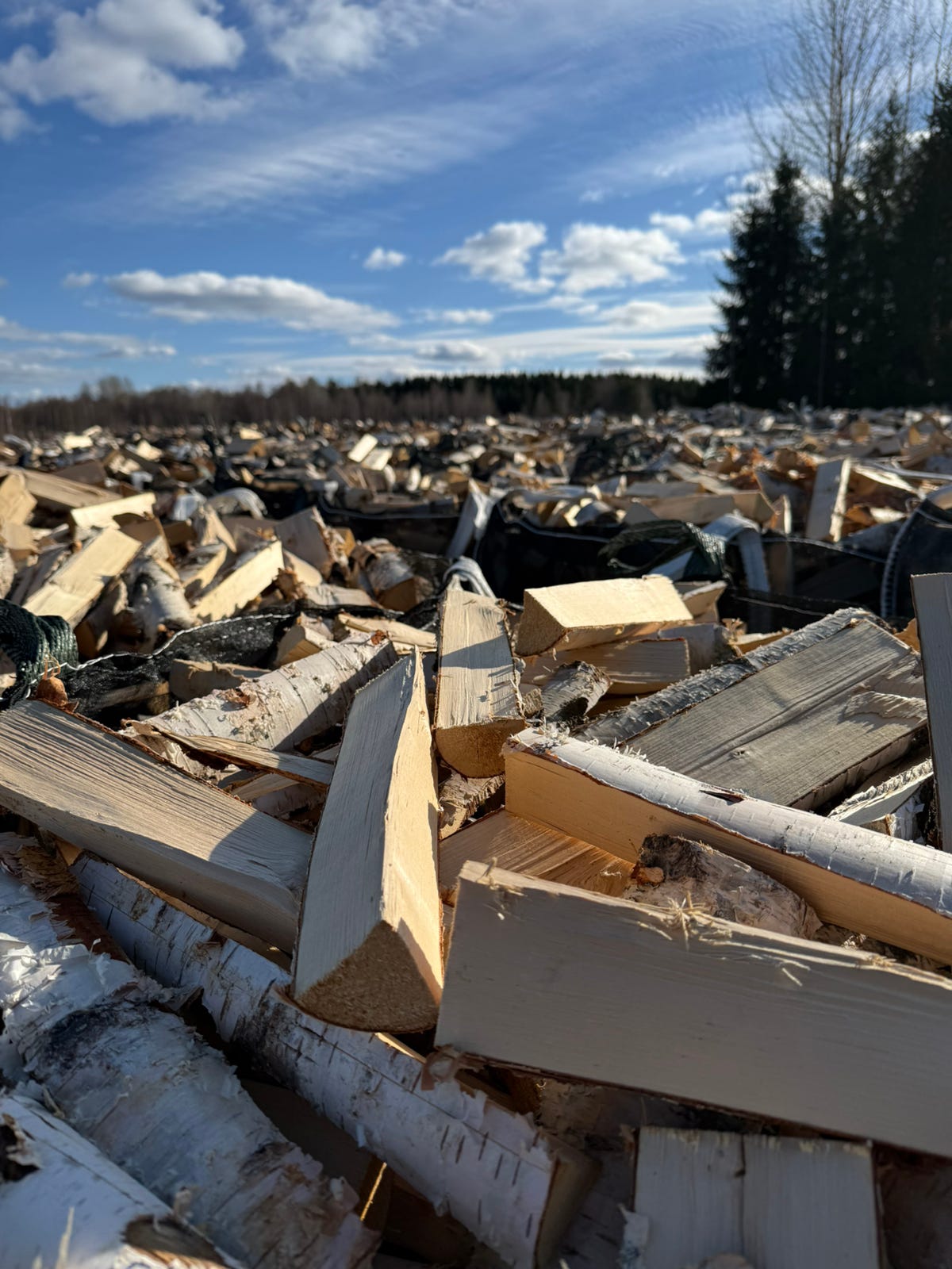 Polttopuita, polttopuuta, koivuklapia, koivuhalkoja, havuklapia j