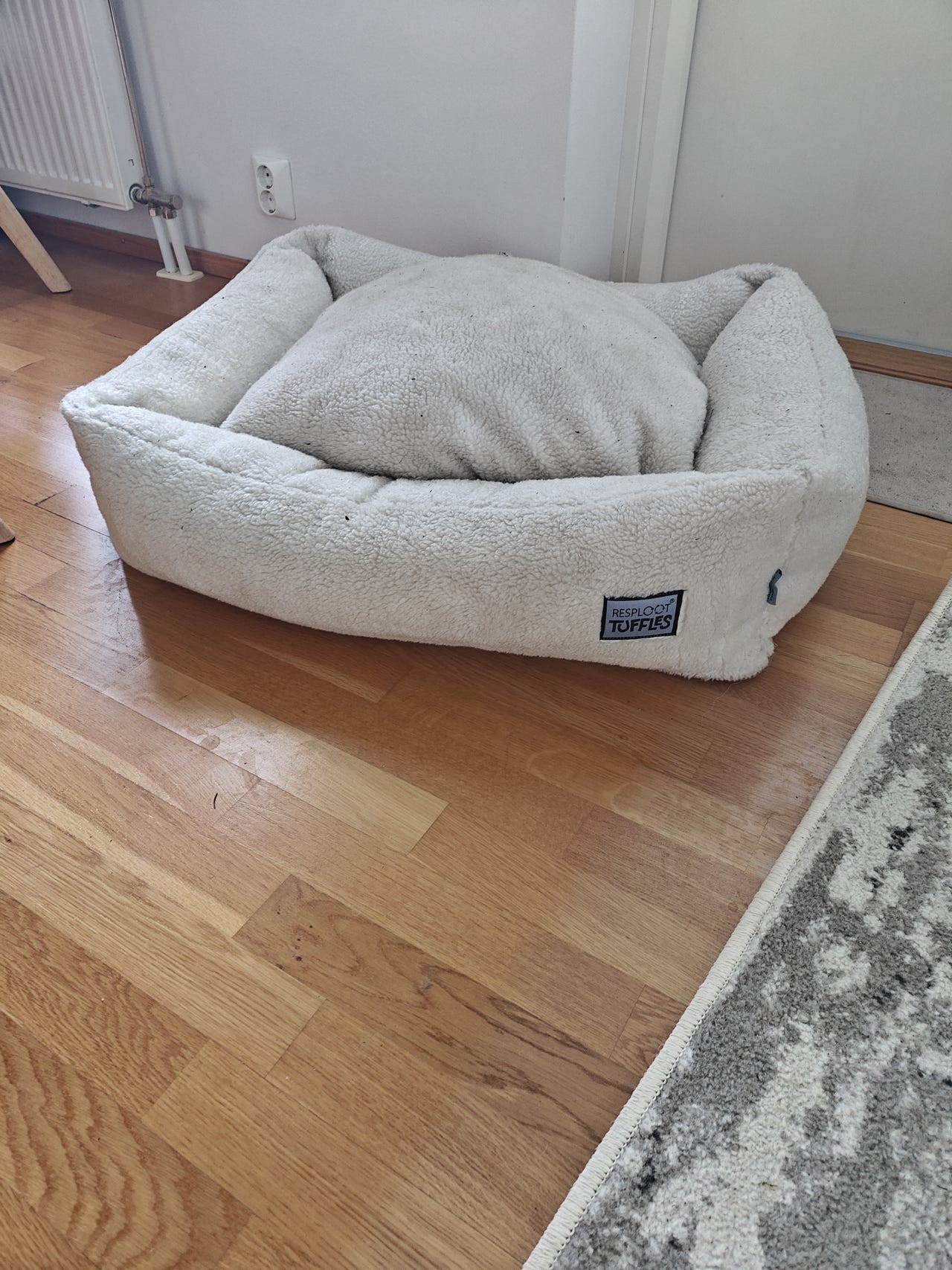 Resploot beige teddy koiranpeti