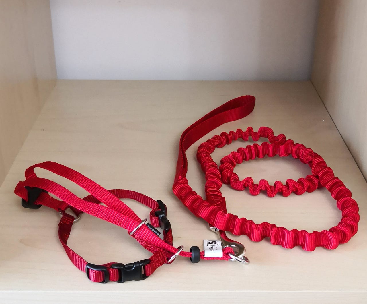PetSafe EasyWalk kissavaljaat ja talutin (koko S)