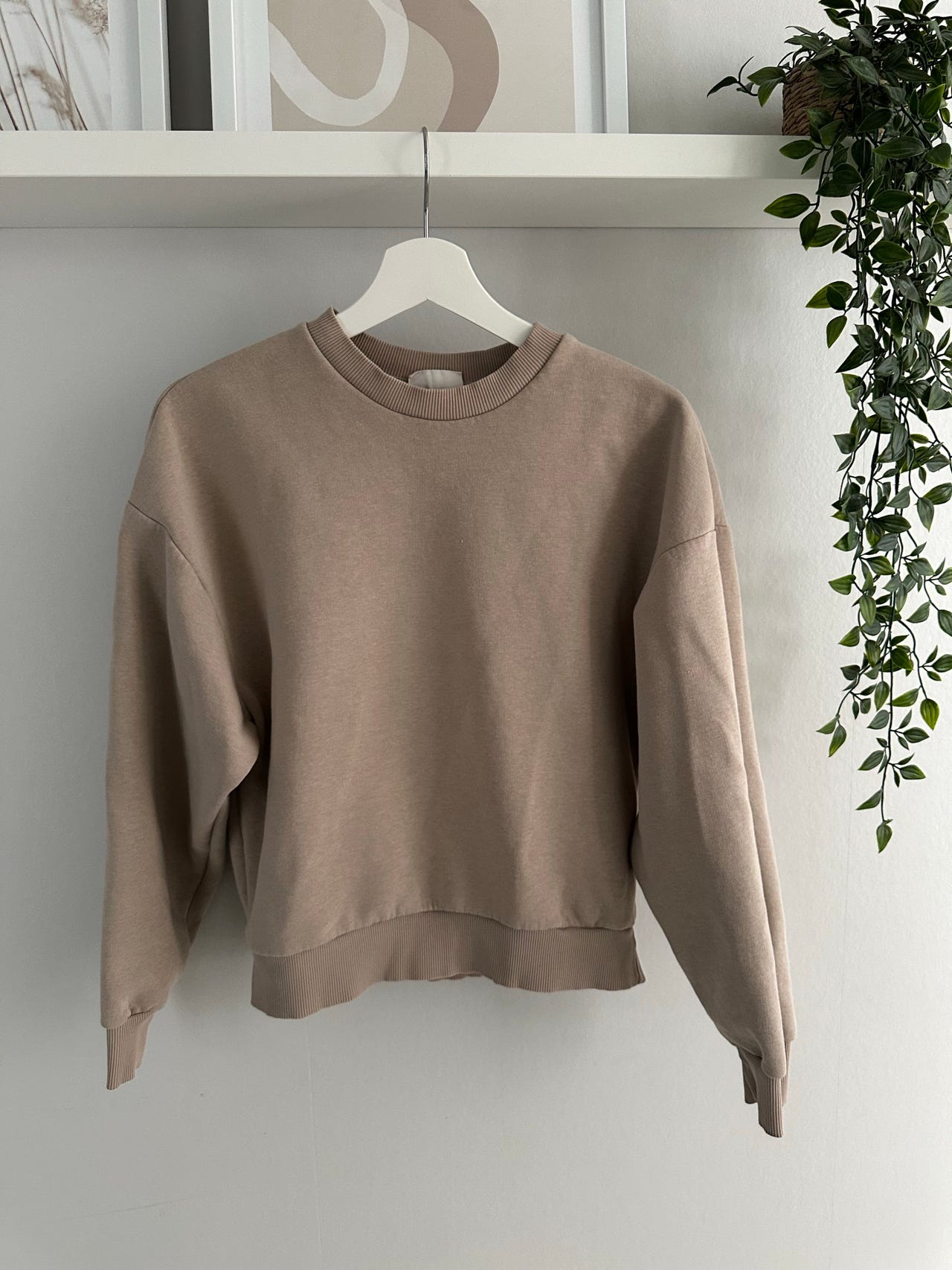 Collegepaita koko xs