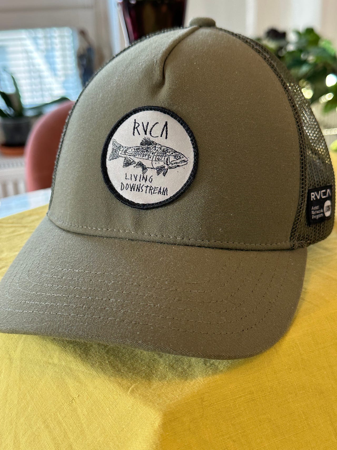 Rvca lippis