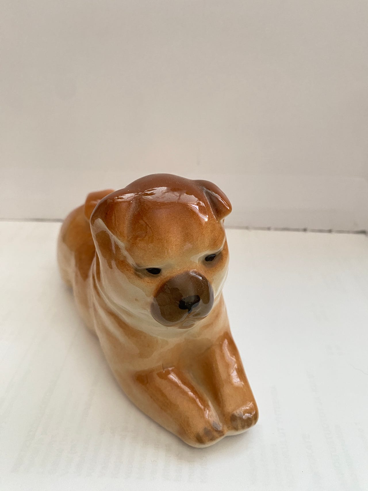 Lomonosov LFZ Chow-chow koira