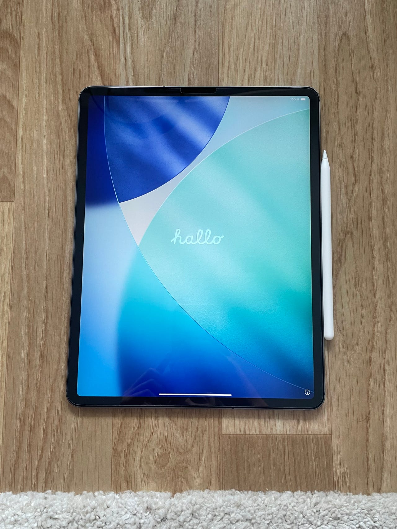 Apple iPad Pro 12'9 256 GB + Apple pencil pro | Tori