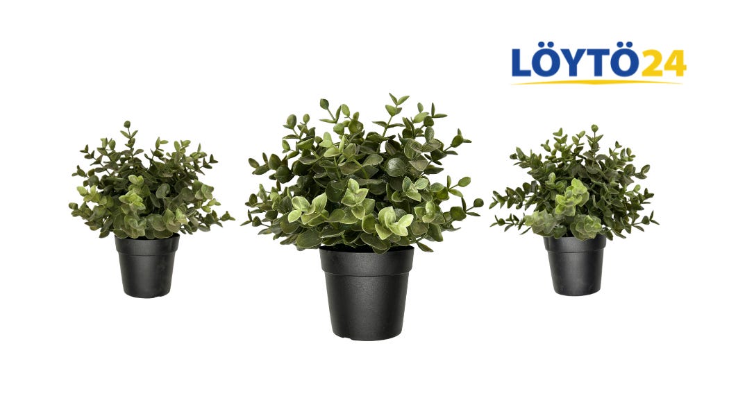 KEA FEJKA Oregano | Tekokasvi 9 cm Mustassa Ruukussa | 6 kpl Sett