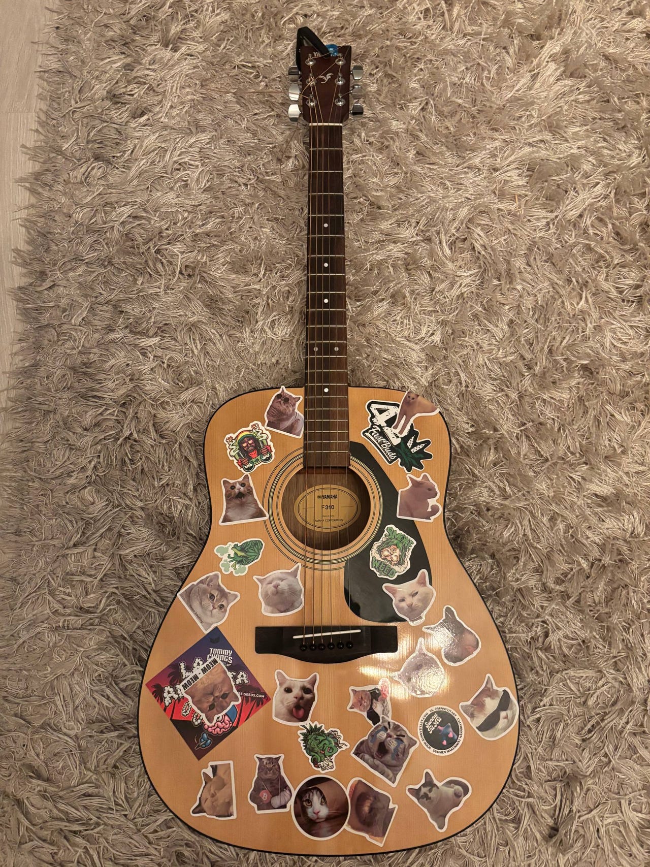 Guitars Acoustick Eletctric