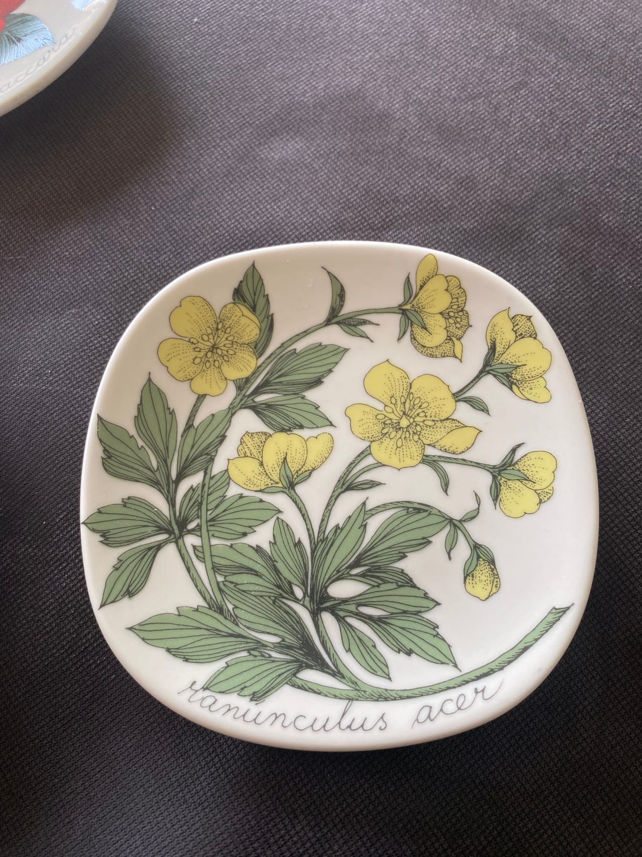 Arabia Botanica seinälautaset 3 kpl – Esteri Tomula | Tori