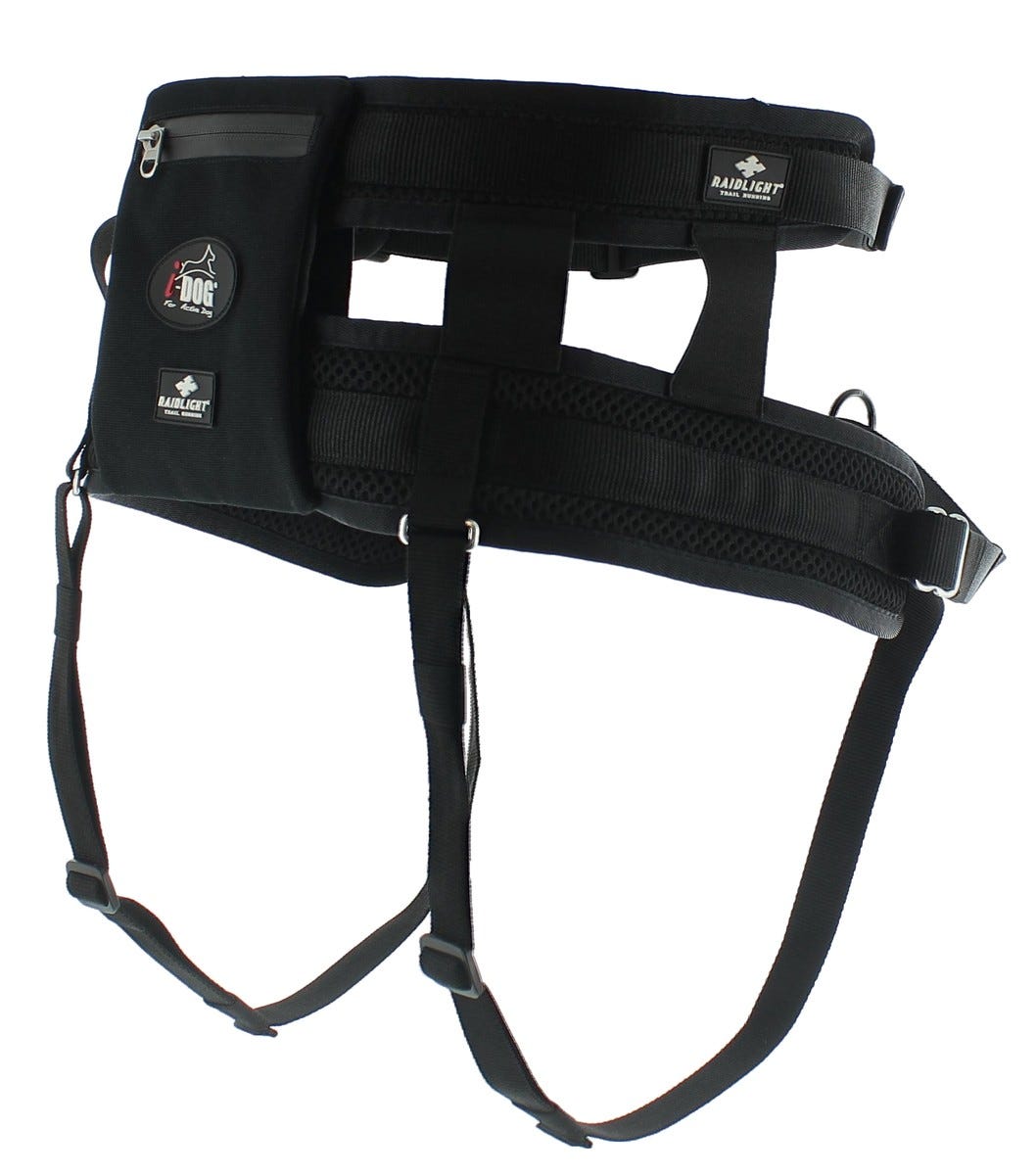 i-DOG juoksuvyö Canicross RAIDLIGHT