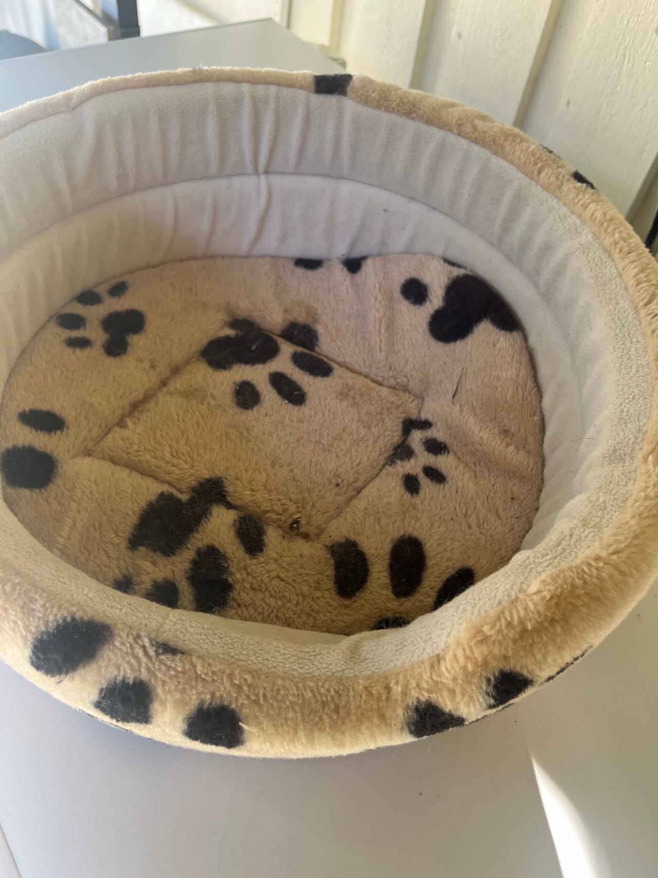 Beige tassunjälkikuosinen lemmikin peti