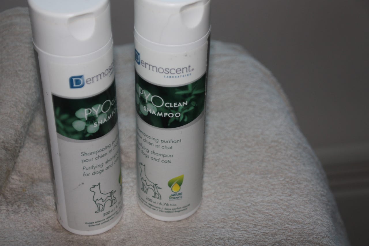 PYO Clean Shampoo Dermoscent