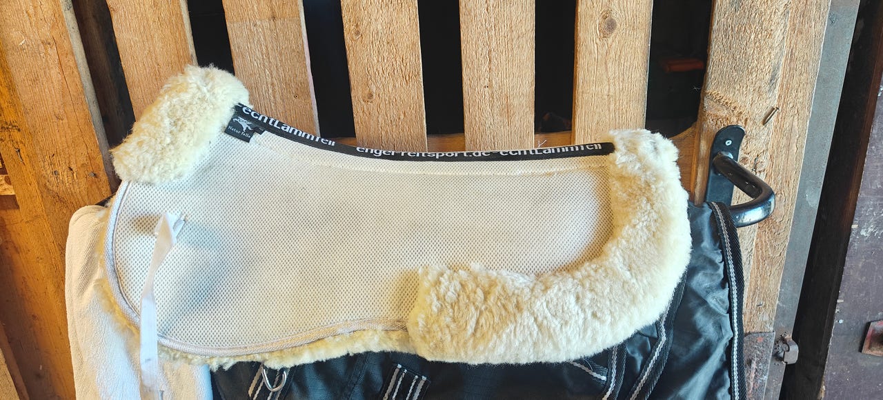 Lampaankarva romaani