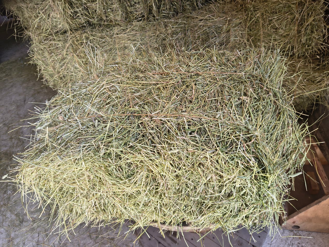 Heinää pikku paaleissa