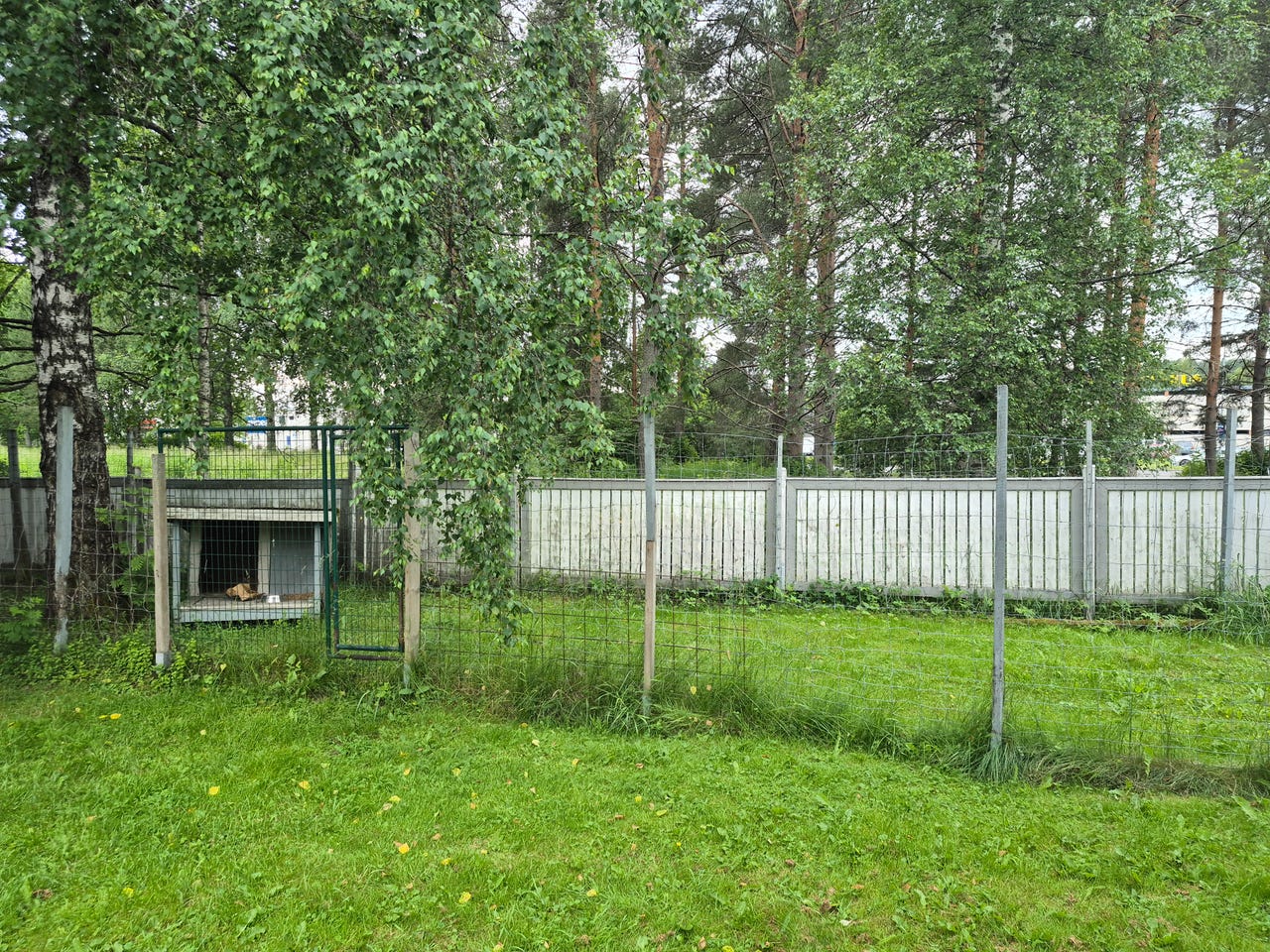 Koiratarha. Varattu 5.7 asti