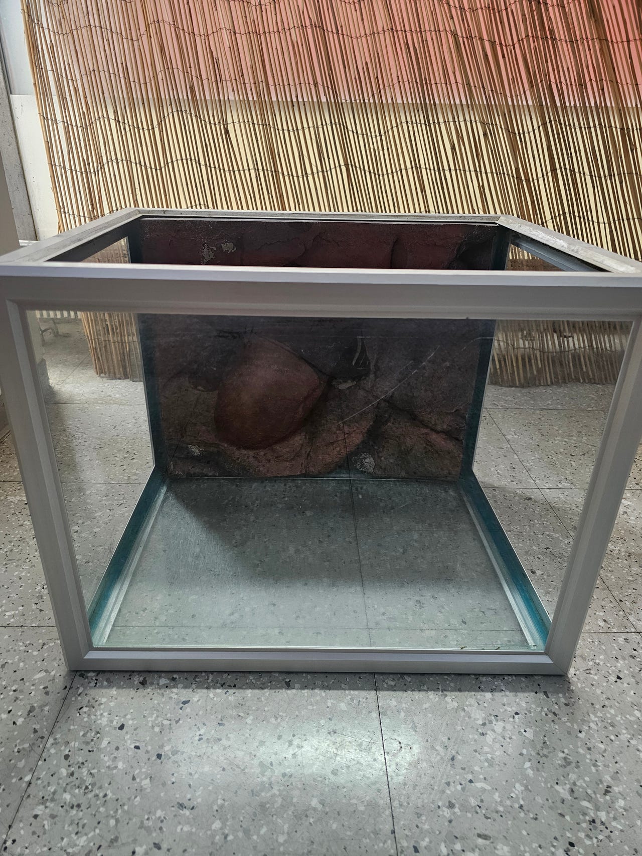 akvaario,terraario 80L