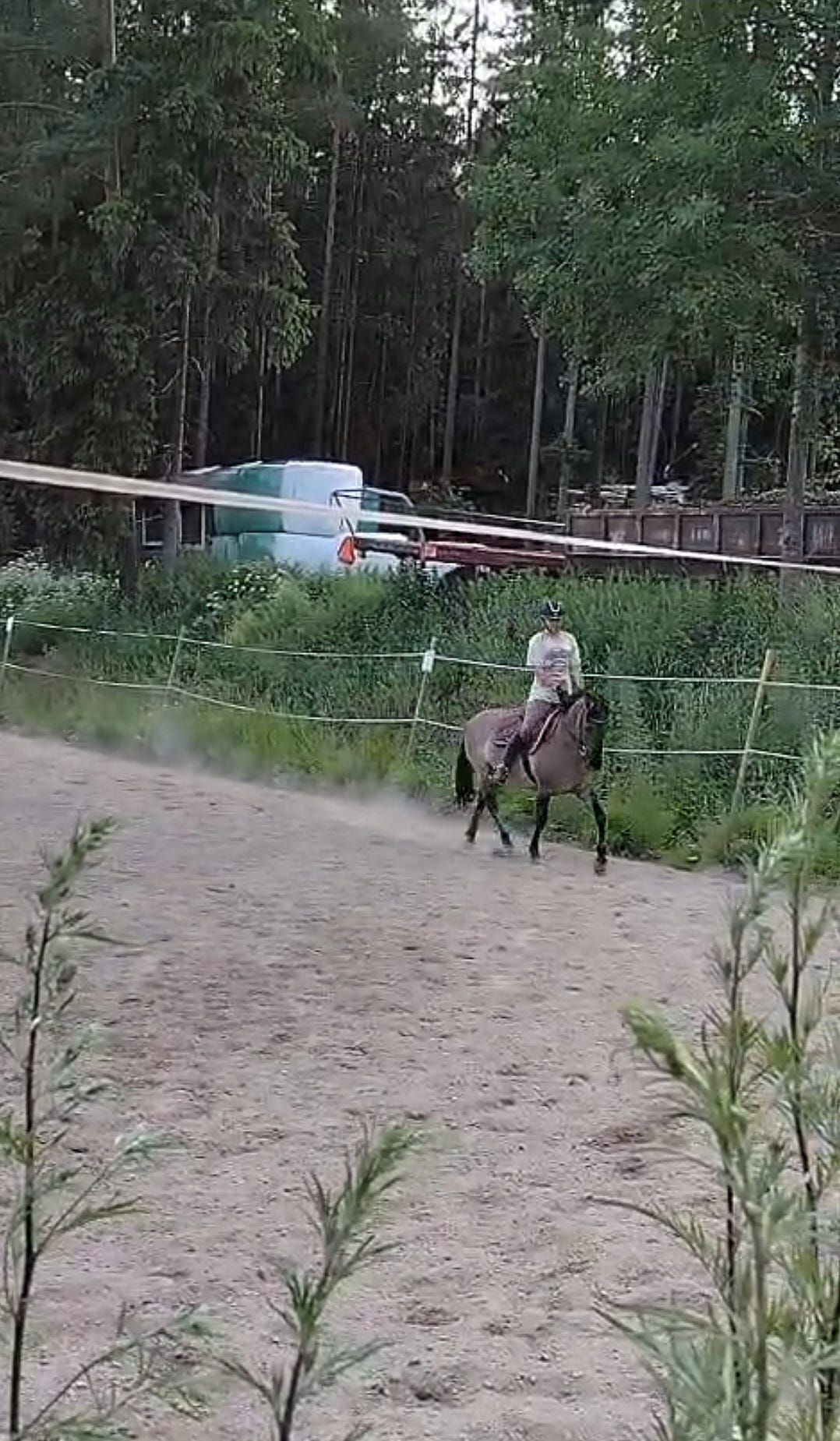 Vuokralle tarjotaan poni